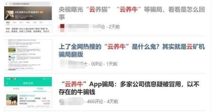 云养牛骗了上亿以后，骗子们又开始养猫了……