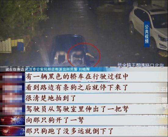 残忍！武汉一对父子为牟利，用毒镖射杀100多条狗，被刑事拘留