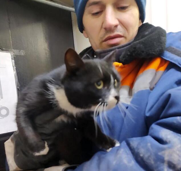 狠心主人抛弃猫咪,装塑料袋丢垃圾箱,差点死在垃圾分类场 狠心主人抛弃猫咪,装塑料袋丢垃圾箱,差点死在垃圾分类场