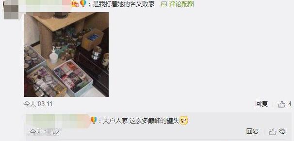 养一只败家的宠物是什么体验？铲屎官回家就有不好的预感……
