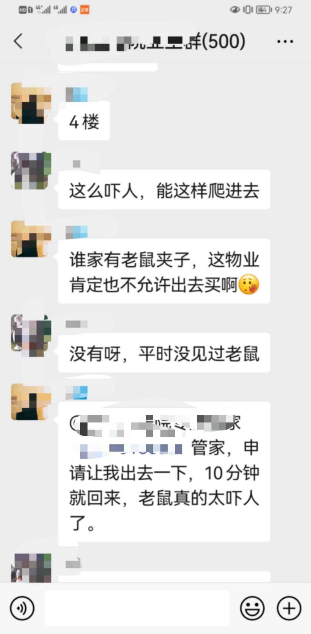 业主群有人要借猫，看看咋回事