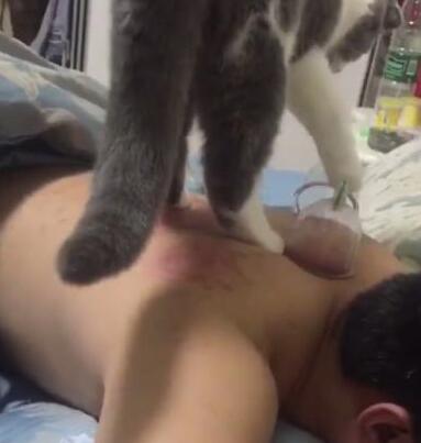 主人在拔罐,猫咪的反应让主人无奈,网友:小心它以后拔你氧气罐 主人在拔罐,猫咪的反应让主人无奈,网友:小心它以后拔你氧气罐