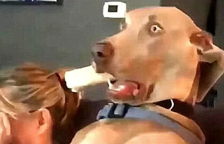 宠物狗陪女主人看恐怖片，下一秒，狗狗表情“亮了”