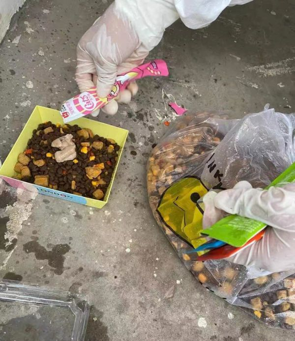 南京市民想带宠物狗隔离被拒,网友炸锅:狗命也是命,死了咋办? 南京市民想带宠物狗隔离被拒,网友炸锅:狗命也是命,死了咋办?