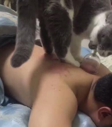主人在拔罐,猫咪的反应让主人无奈,网友:小心它以后拔你氧气罐 主人在拔罐,猫咪的反应让主人无奈,网友:小心它以后拔你氧气罐