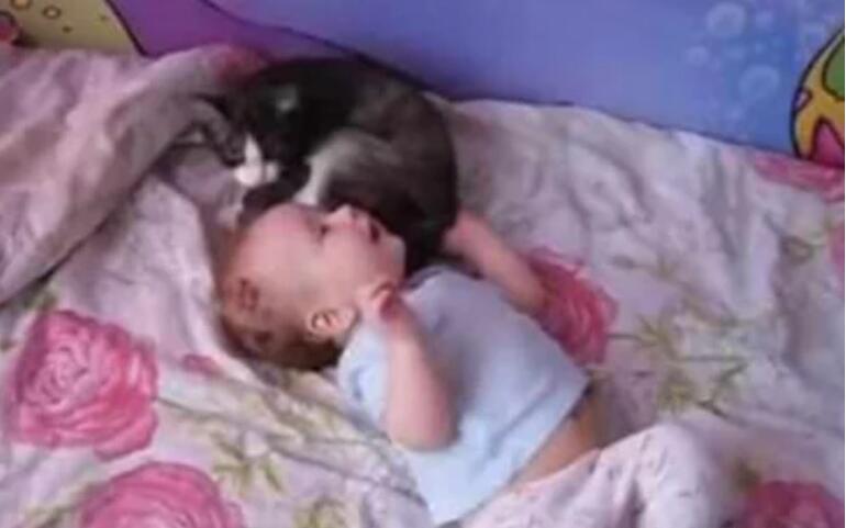 小主人一直哇哇大哭,猫咪凑过来做这举动,感觉心都被暖化了 小主人一直哇哇大哭,猫咪凑过来做这举动,感觉心都被暖化了