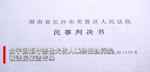 遛狗未牵住狗链致人受伤,女主人拒赔面临拘留后秒怂