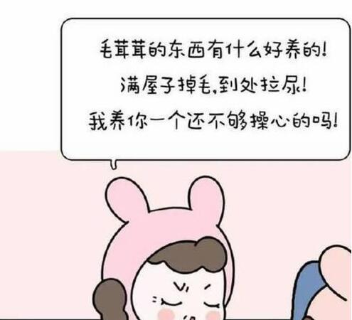 养宠物之前,我在家里是宝,养完宠物后,我在家里是棵草,心塞!