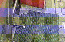 流浪小猫为口吃的，用身体不断撞门，猫：求求您，把门打开吧 
