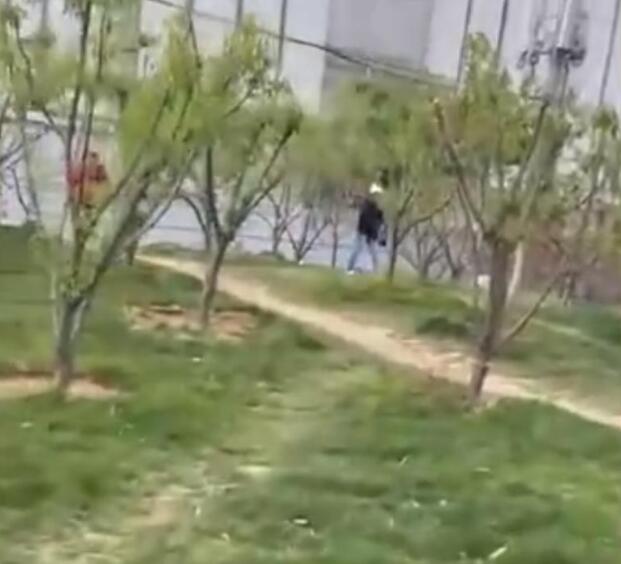 北京一公园现无理老人,遛狗不牵绳被劝阻,老人怒怼:又没拉你家 北京一公园现无理老人,遛狗不牵绳被劝阻,老人怒怼:又没拉你家