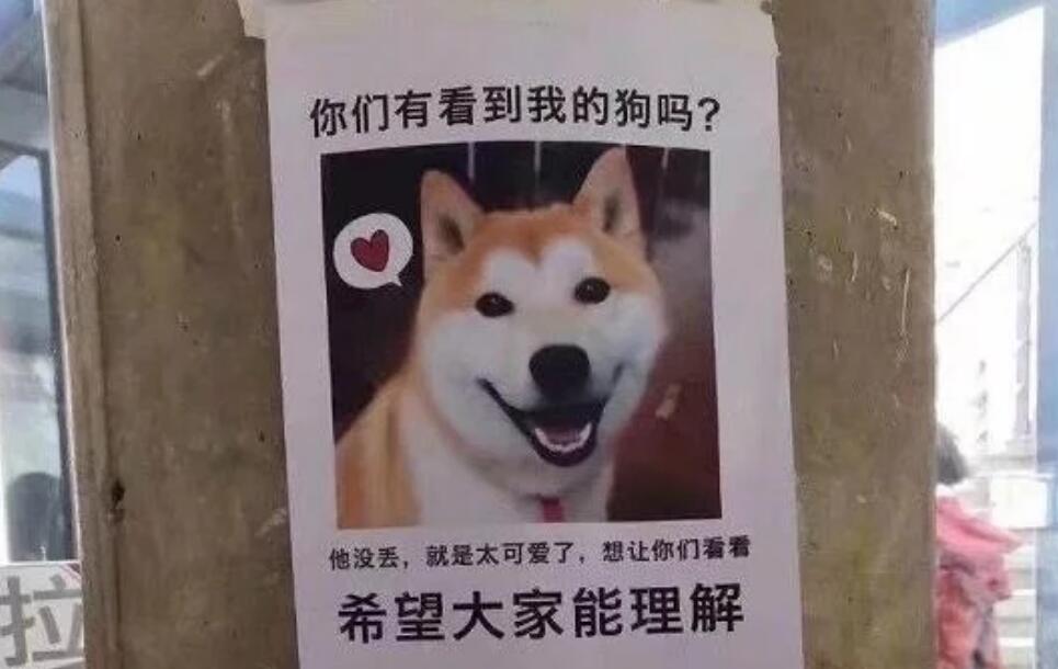 本以为是寻狗启示,没想到是炫狗狂魔,网友的“报复”手段太秀了 本以为是寻狗启示,没想到是炫狗狂魔,网友的“报复”手段太秀了
