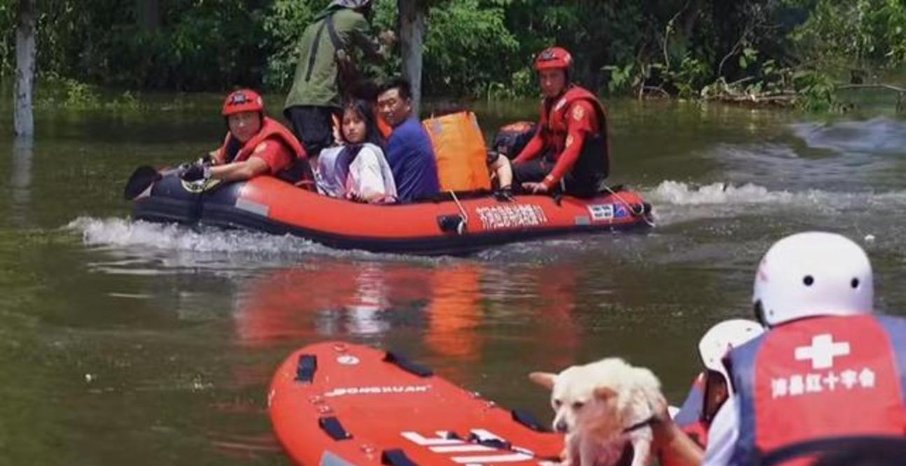 狗命也是命！河南新乡救援力量只顾救人，引发爱犬组织强烈不满