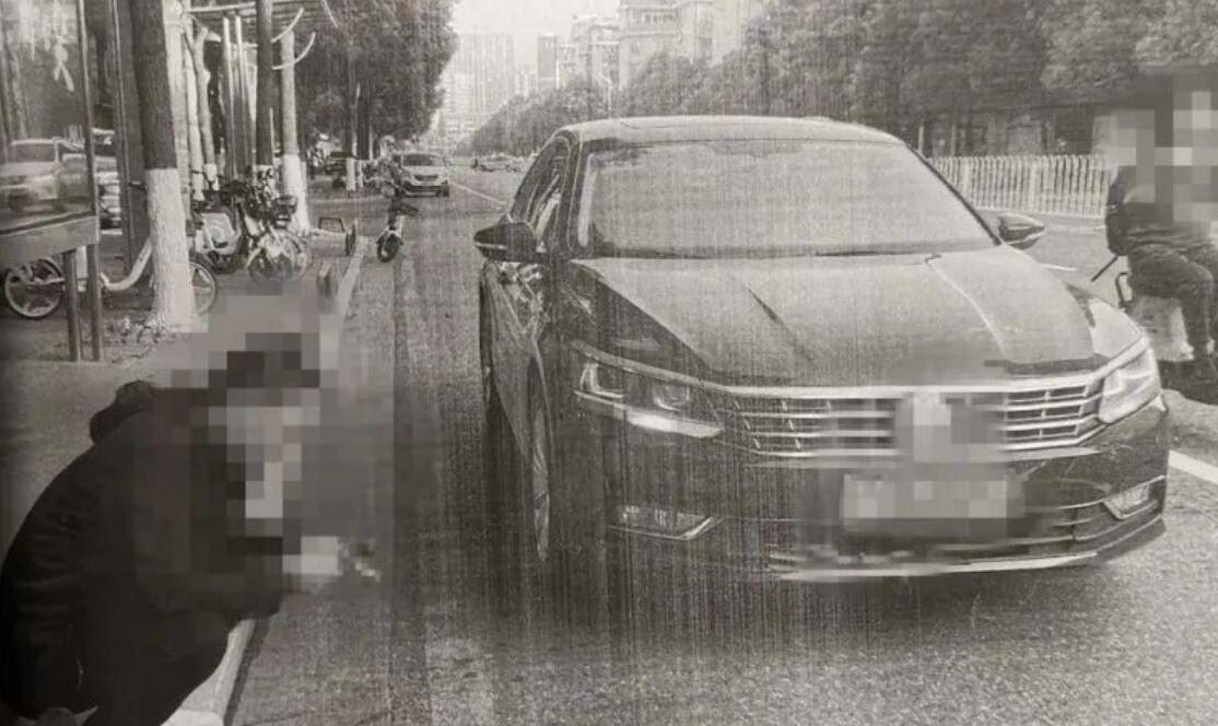 车狗相撞，狗没事，车坏了，怎么判？