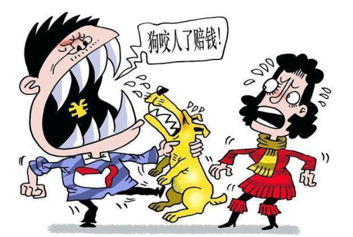 被狗咬时,把狗踢死了怎么办?《民法典》新规:很多人都不知道吧