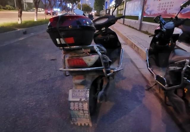 江苏南通：车狗相撞却是狗主人负全责，只因她没这么做！