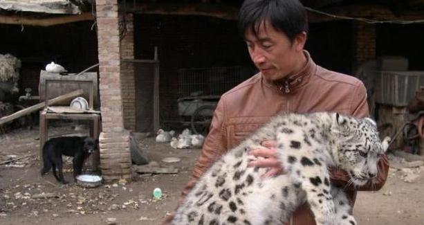 牧民捡到两只猫带回家,结果养着养着感觉不对劲:这猫怎么这么大 牧民捡到两只猫带回家,结果养着养着感觉不对劲:这猫怎么这么大