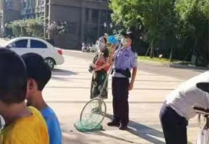 南阳一小区惊现猴子，多次抓捕未果！