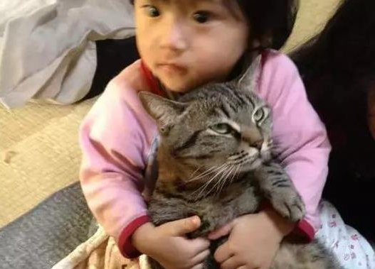 女儿跟蓝猫在地板上玩耍,经过鲜明对比之后,网友调侃道:“猫才是亲生的吧! 女儿跟蓝猫在地板上玩耍,经过鲜明对比之后,网友调侃道:“猫才是亲生的吧!