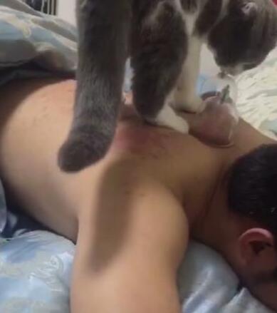 主人在拔罐,猫咪的反应让主人无奈,网友:小心它以后拔你氧气罐