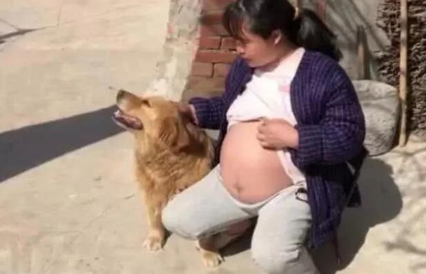 女子挺着孕肚晒太阳,金毛跟了出来,随后直言被汪给暖心到了 女子挺着孕肚晒太阳,金毛跟了出来,随后直言被汪给暖心到了