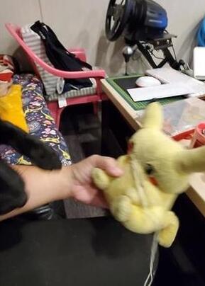狗狗独爱一只皮卡丘,主人多次帮它缝补抢救,被迫成为缝补技工 狗狗独爱一只皮卡丘,主人多次帮它缝补抢救,被迫成为缝补技工