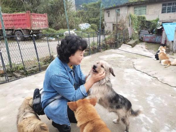 救助基地，给了流浪猫狗一个“家”