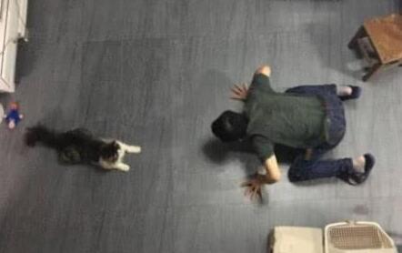 养宠物之前，我在家里是宝，养完宠物后，我在家里是棵草，心塞！