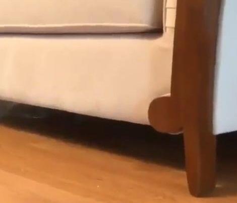 小橘猫喜欢藏在沙发下，主人呼叫它时，它的出场方式很炫酷了……