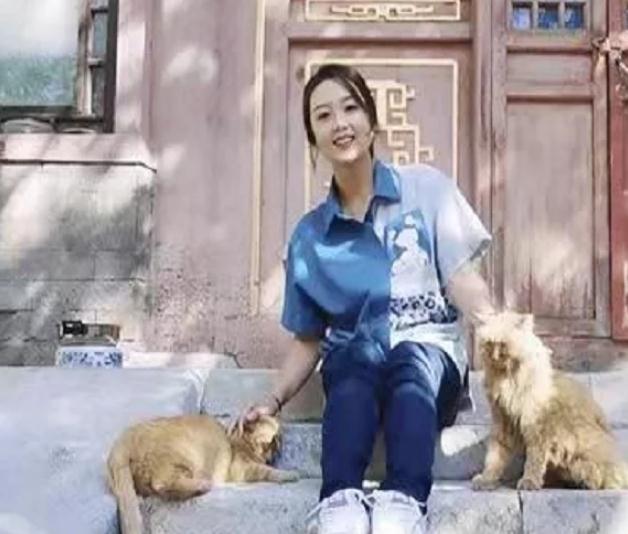 宫猫图鉴：她在故宫撸猫8年，揭开故宫600年宫猫往事