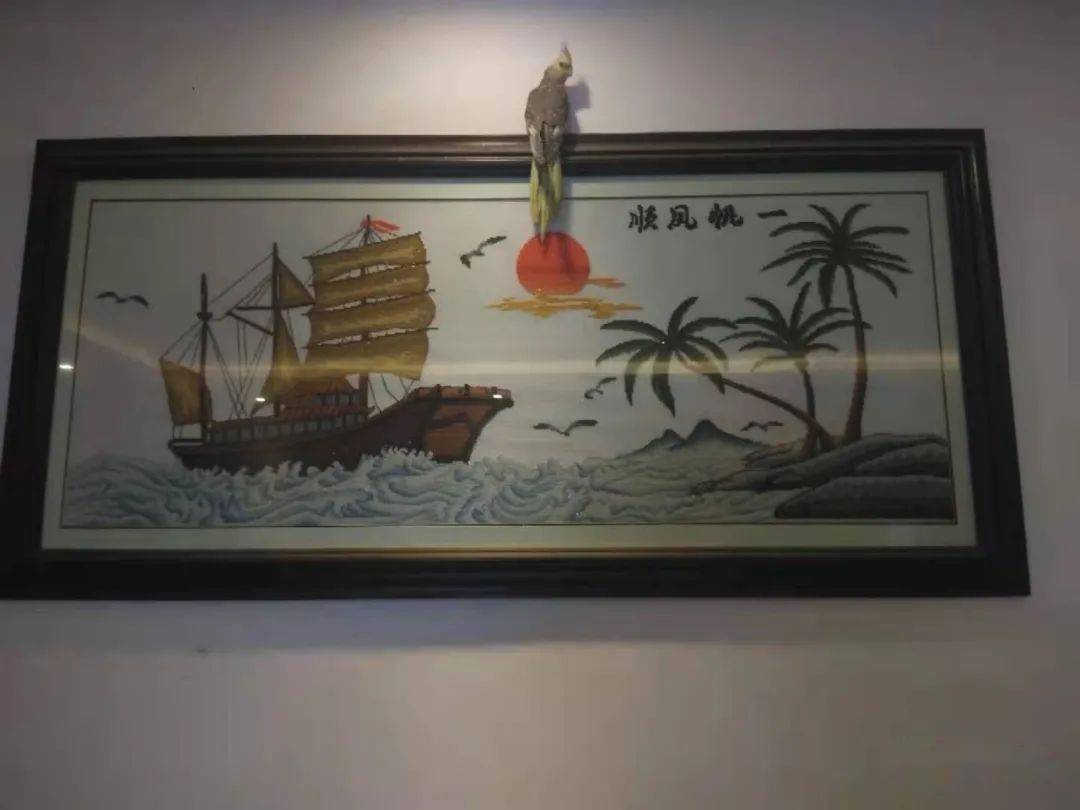 驯鸟记 驯鸟记