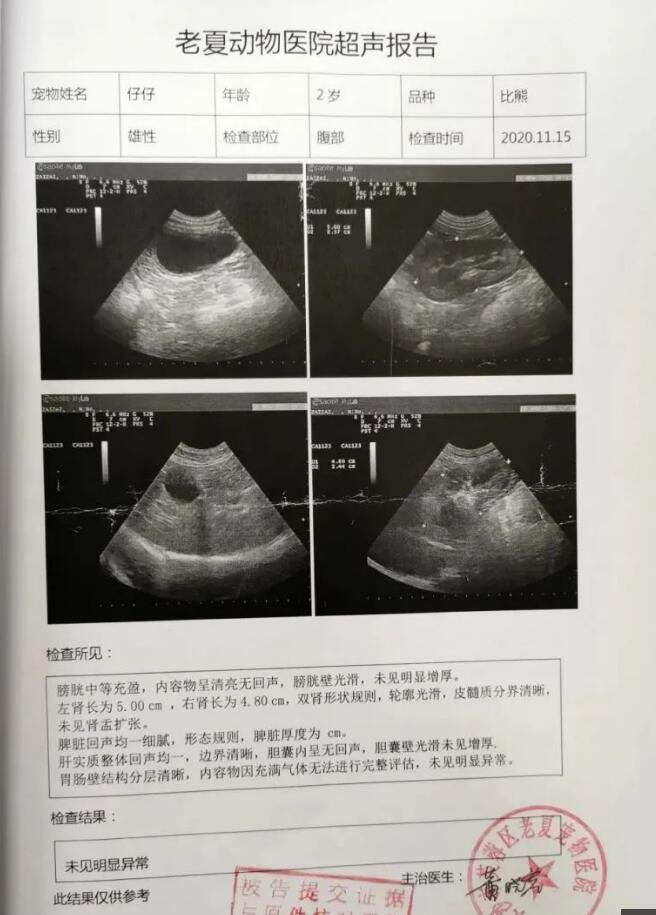 车狗相撞，狗没事，车坏了，怎么判？