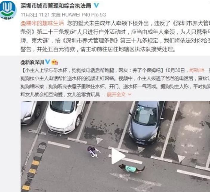 网红狗“糯米”走红网络,主人却被点名收罚单 网红狗“糯米”走红网络,主人却被点名收罚单