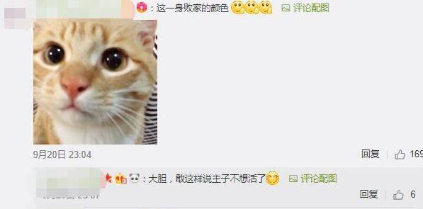 养一只败家的宠物是什么体验?铲屎官回家就有不好的预感…… 养一只败家的宠物是什么体验?铲屎官回家就有不好的预感……