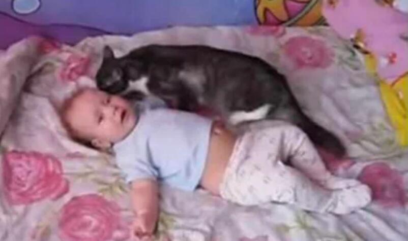 小主人一直哇哇大哭,猫咪凑过来做这举动,感觉心都被暖化了