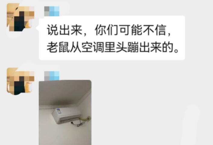 业主群有人要借猫,看看咋回事