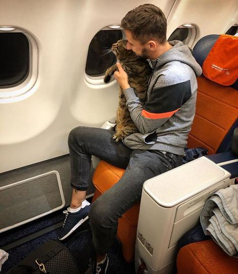 猫太胖上不了飞机,他居然找了只瘦猫做“替身”,这操作太骚了! 猫太胖上不了飞机,他居然找了只瘦猫做“替身”,这操作太骚了!