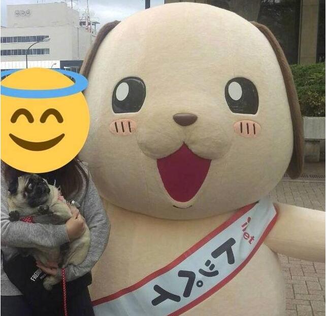 巴哥犬刚睡醒就看到庞然大物,吓得表情失控,路人都笑喷了 巴哥犬刚睡醒就看到庞然大物,吓得表情失控,路人都笑喷了