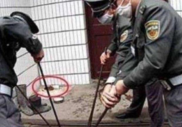 上世纪八十年代,一场声势浩大的打狗运动,起因你还记得吗? 上世纪八十年代,一场声势浩大的打狗运动,起因你还记得吗?
