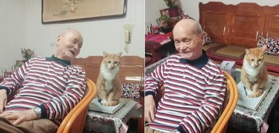 收养橘猫5年，怕90岁老人反对不敢带回家，结果大家纷纷变猫奴 