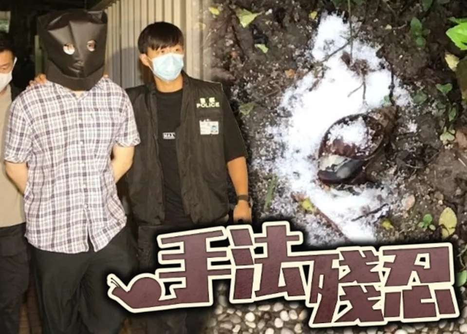 杀死几只蜗牛就被拘捕？26岁博士生虐杀的蜗牛，究竟是什么品种？