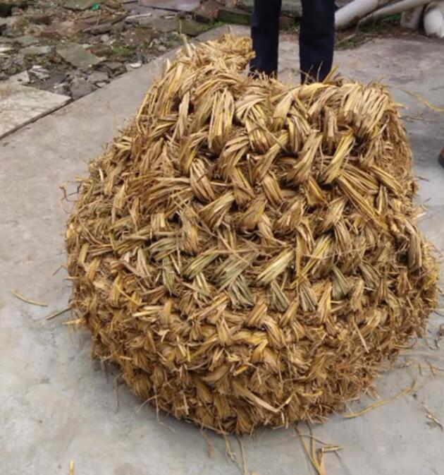 主人用稻草给狗做窝,狗子钻进窝里不出来,狗:纯天然真舒服…… 主人用稻草给狗做窝,狗子钻进窝里不出来,狗:纯天然真舒服……