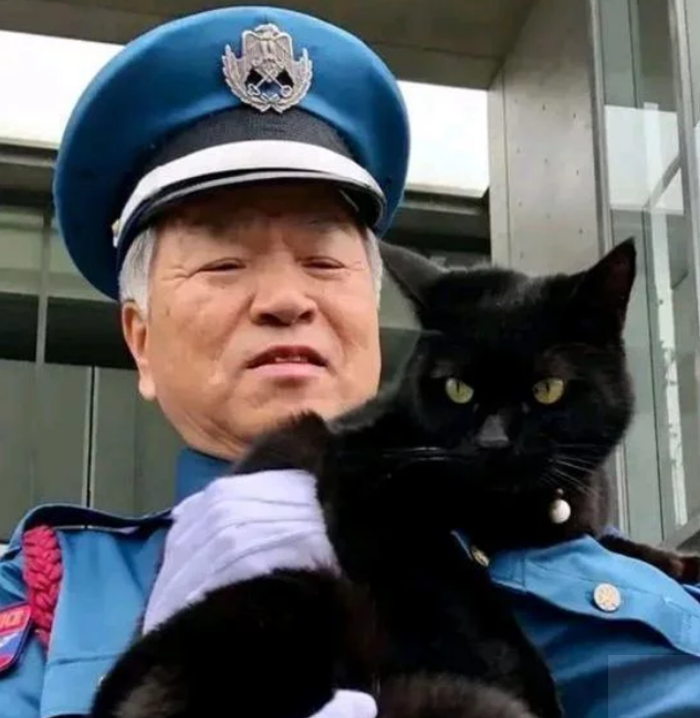 保安连续4年被猫骚扰,本以为是想求收养,了解意图后被可爱到了