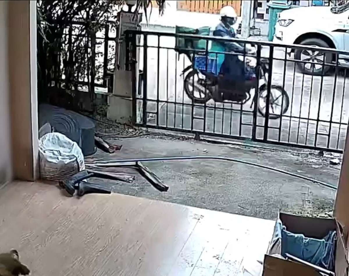 为狗狗点外卖，监控器里却看到，外卖员竟对狗狗做出这种举动