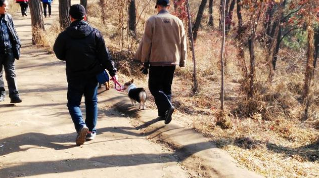 抚顺可以带狗的景区 | 抚顺高尔山风景区有多人遛狗 游客见着都躲着走 抚顺可以带狗的景区 | 抚顺高尔山风景区有多人遛狗 游客见着都躲着走