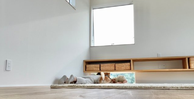 网友为了能让狗在家看风景，装修时多安了一块窗户，好暖心的设计