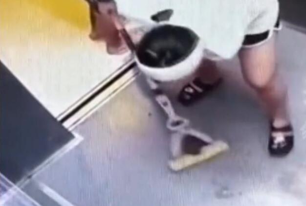 难得一见!沈阳一宠物狗尿电梯里,女主人竟拿拖把擦干净整个电梯 难得一见!沈阳一宠物狗尿电梯里,女主人竟拿拖把擦干净整个电梯