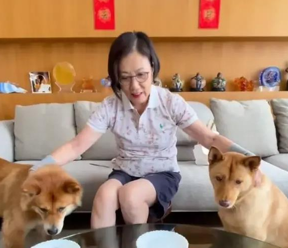 汪明荃和罗家英月饼收多了,竟拿出来喂狗了? 汪明荃和罗家英月饼收多了,竟拿出来喂狗了?