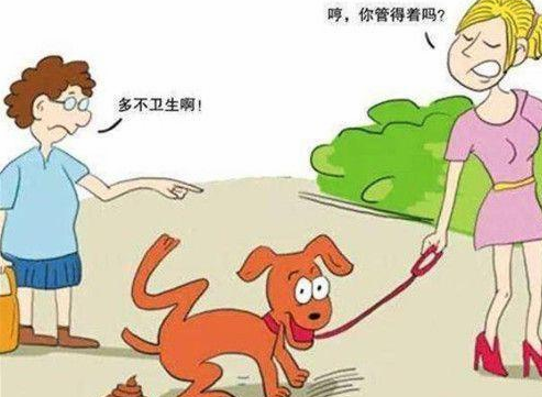 被狗咬时把狗踢死了,是否需要负法律责任?《民法典》告诉你答案