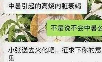 主人出差前将狗狗交给宠物医院，回来再见时，已是阴阳两隔！