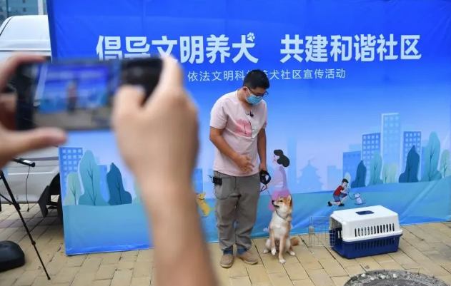 老人公园跑道遛狗被罚2500元,警方:既没办证又不拴绳 老人公园跑道遛狗被罚2500元,警方:既没办证又不拴绳